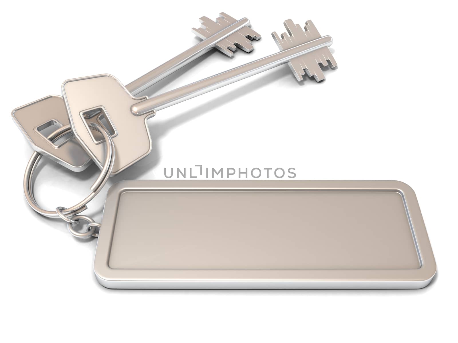 Two door keys and rectangular blank label on ring. 3D by djmilic