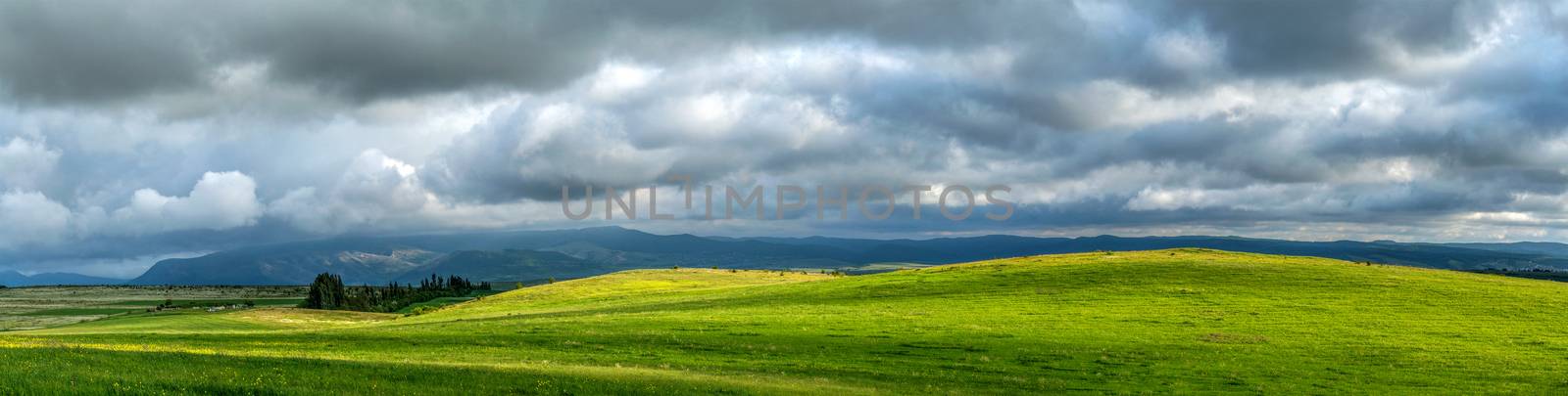 pasture on a mountain plateau by fogen