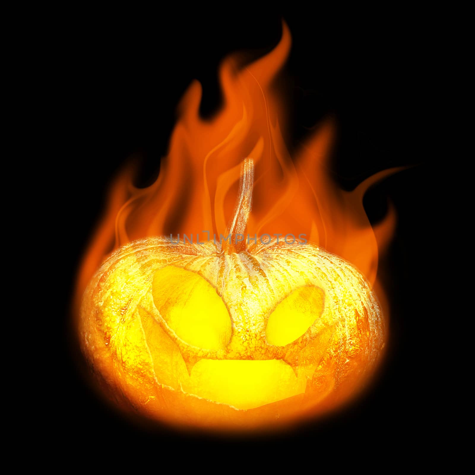 Halloween pumpkin with fire on black background