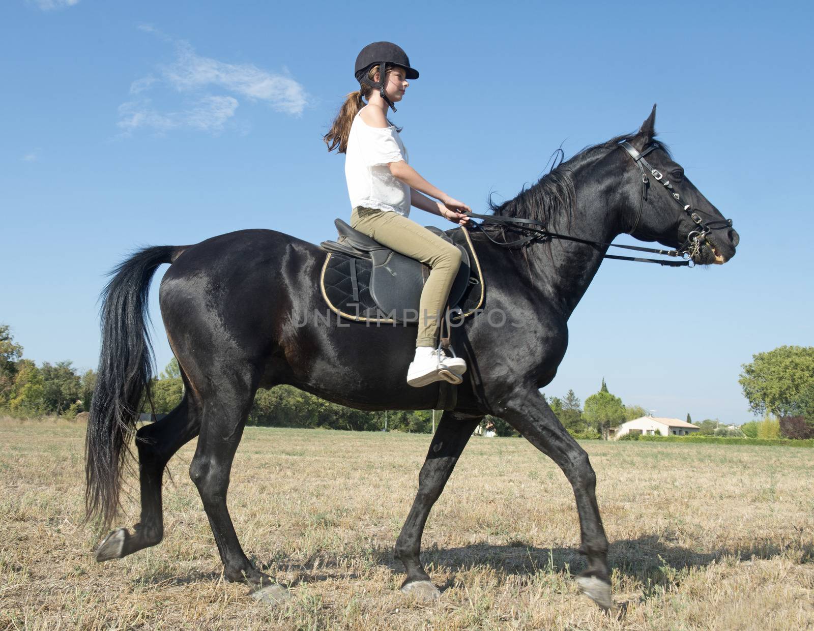 young girl riding a black stallion in a field