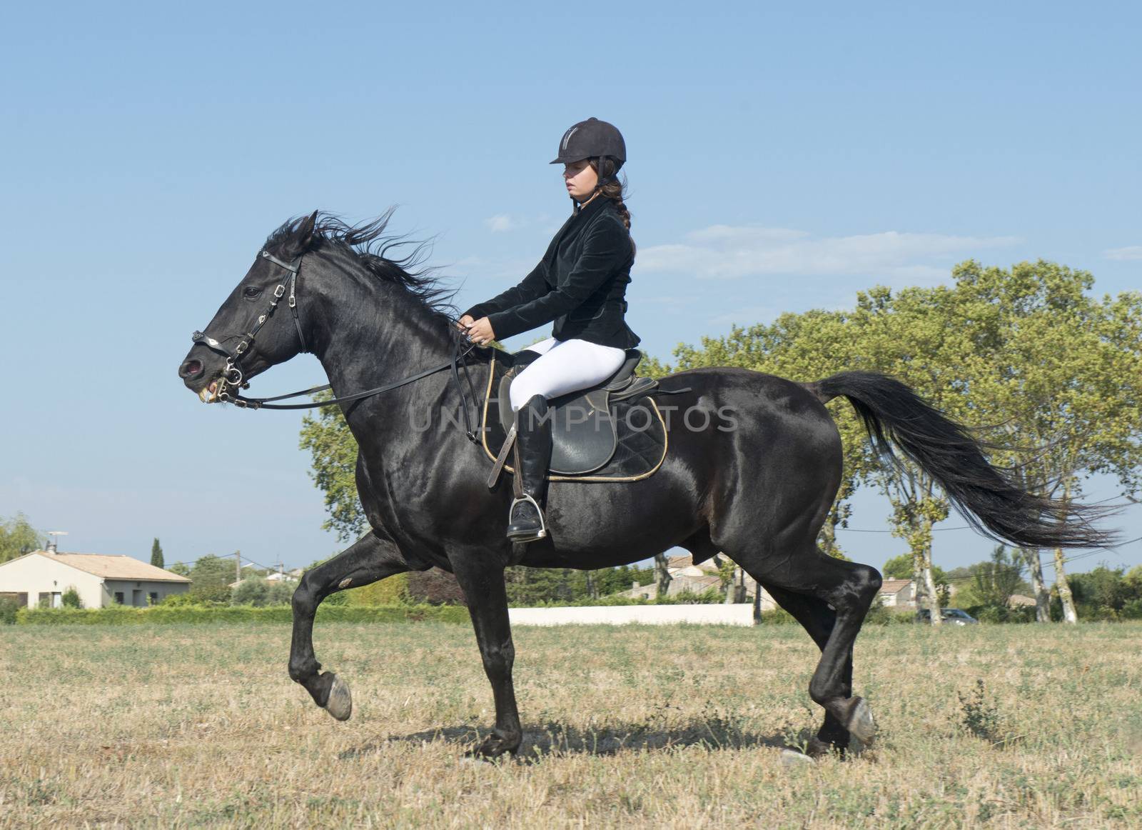 young girl riding a black stallion in a field