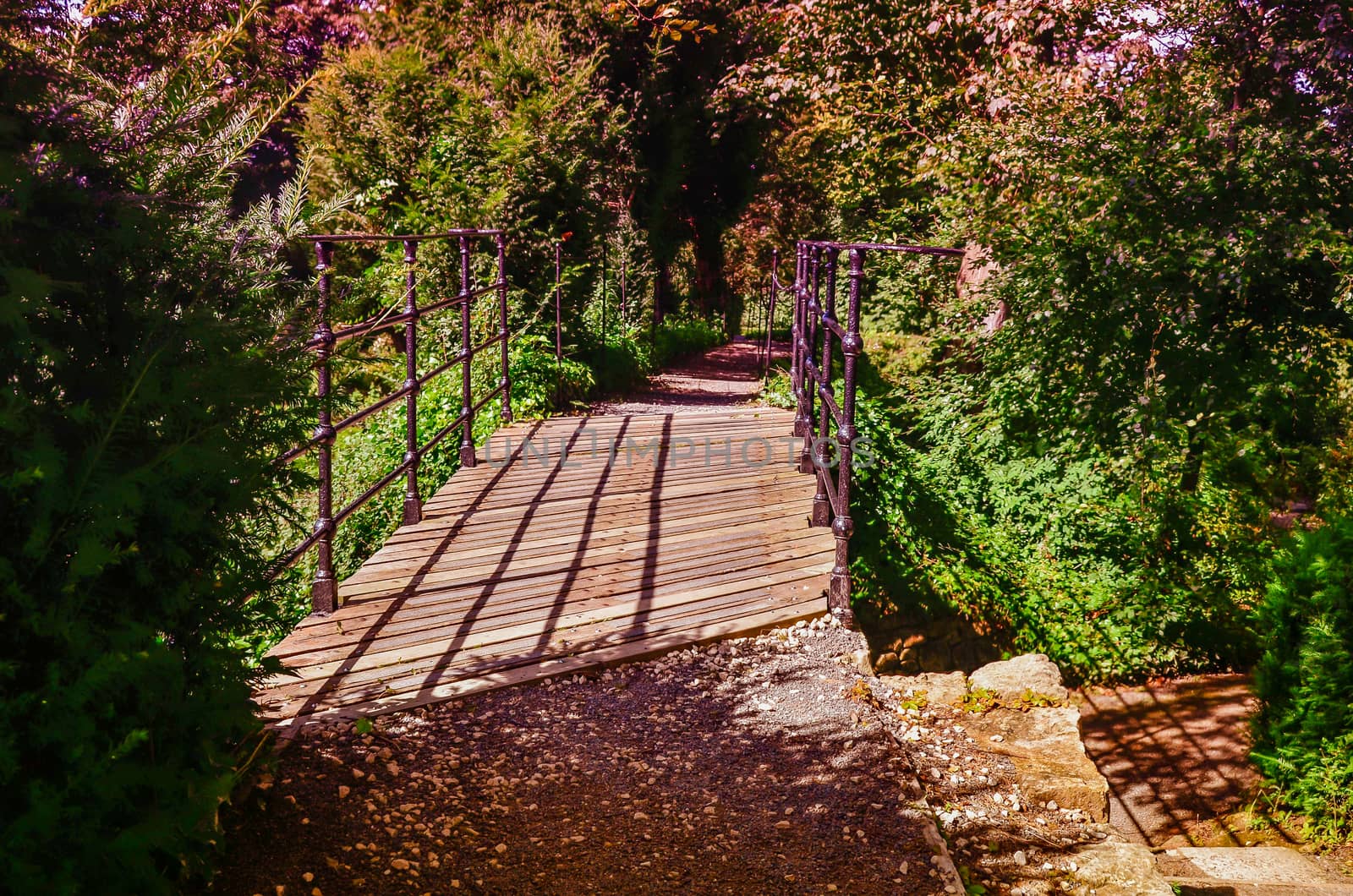 Brodsworth Hall Gardens in Doncaster, South Yorkshire. Used color effects.