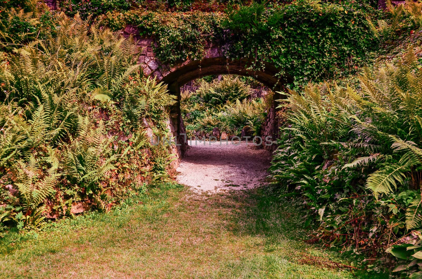 Brodsworth Hall Gardens in Doncaster, South Yorkshire. Used color effects.