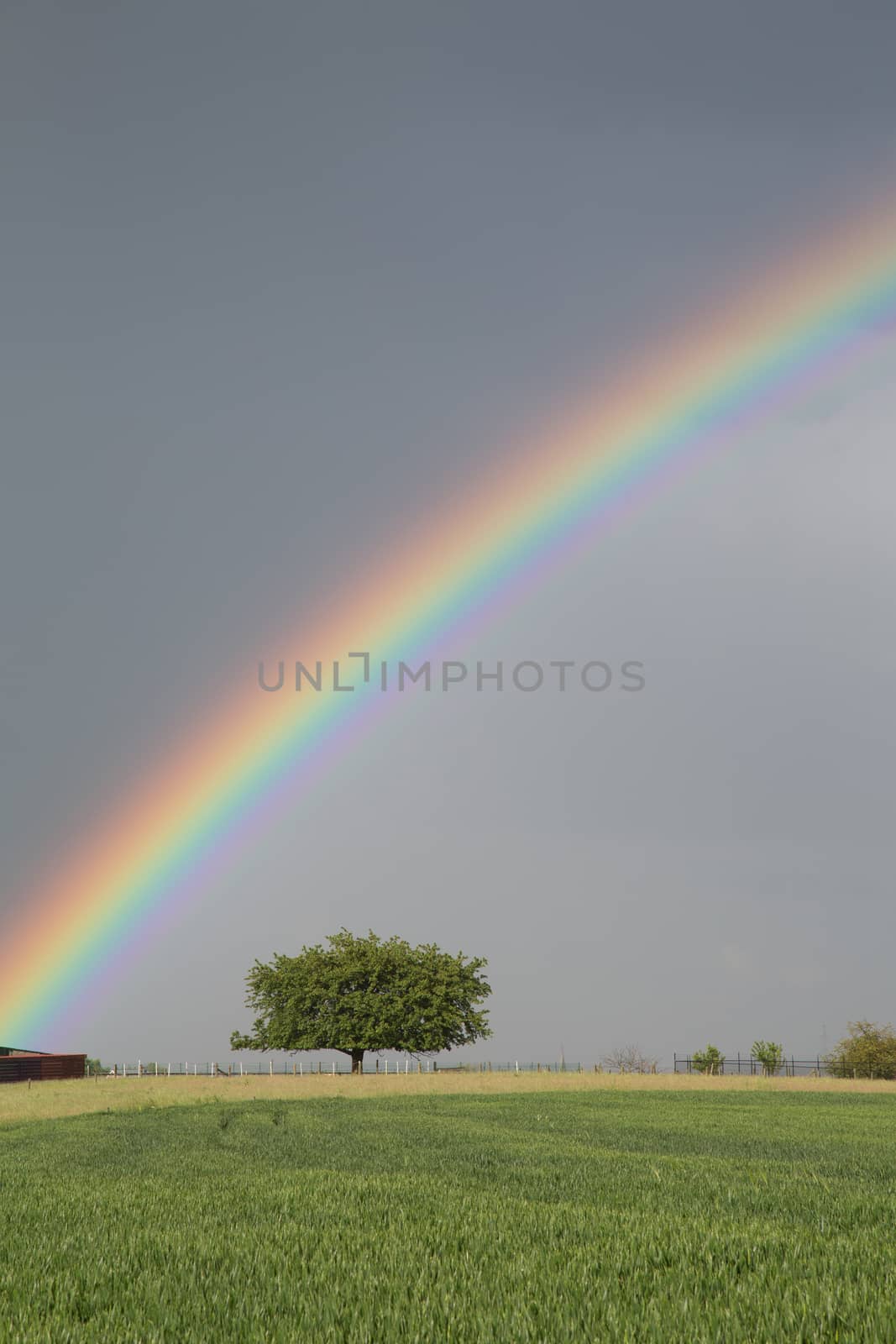 Rainbow green field by Kartouchken