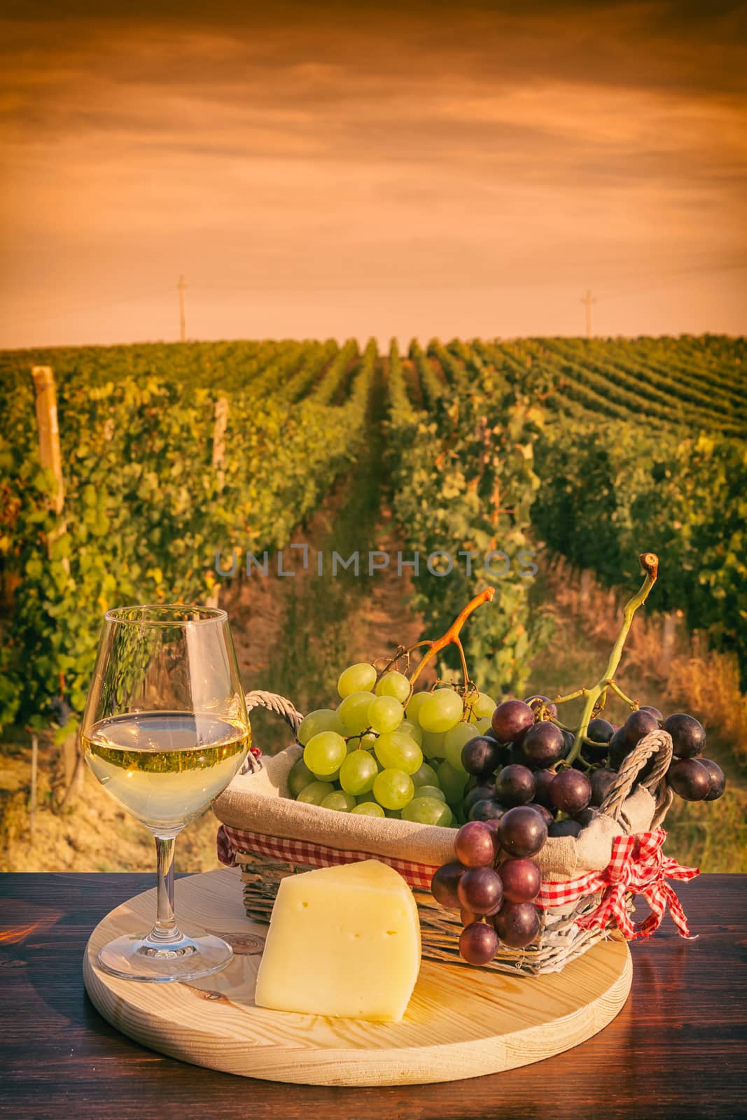 Glass of white wine in front of a vineyard at sunset by LuigiMorbidelli