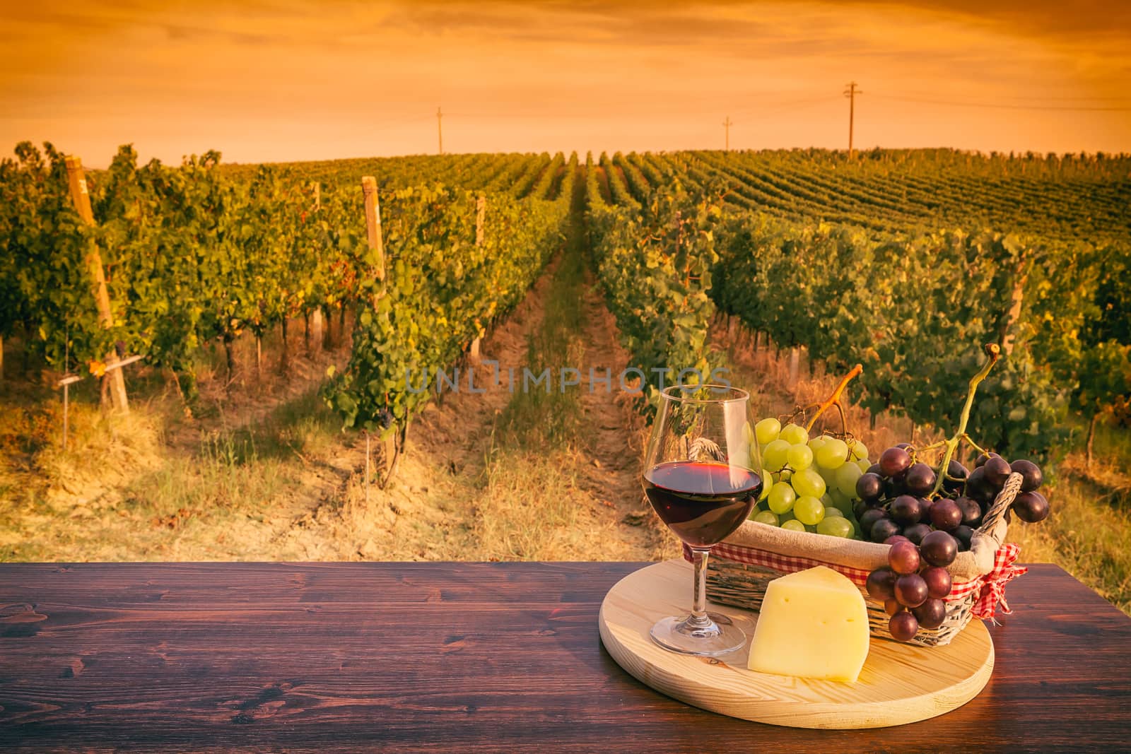 Glass of red wine in front of a vineyard at sunset by LuigiMorbidelli