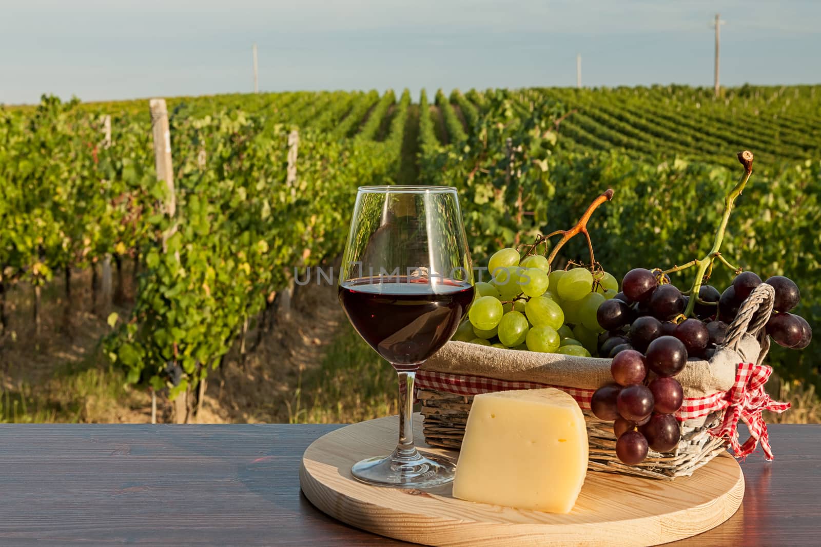 Glass of red wine with grapes in a basket and cheese in front of a vineyard