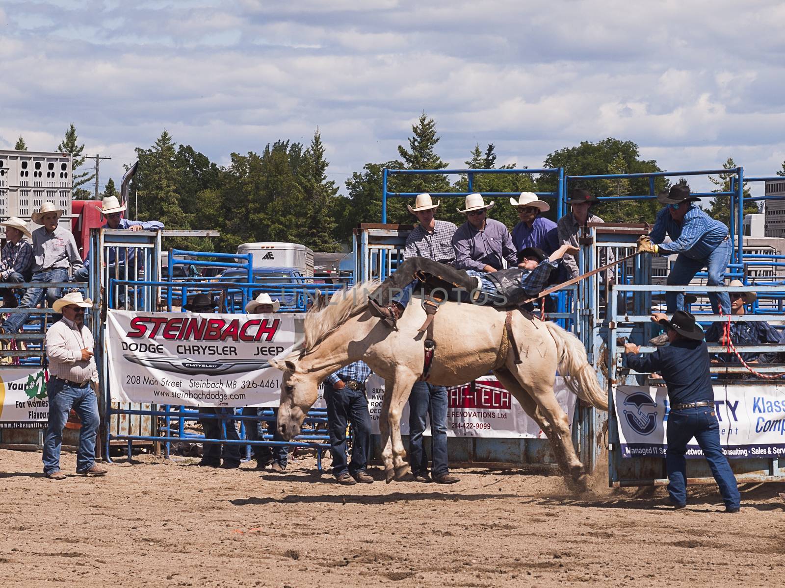 Rodeo.  Cowboy trying to hold on to a wild horse.  Winnipeg.  Canada