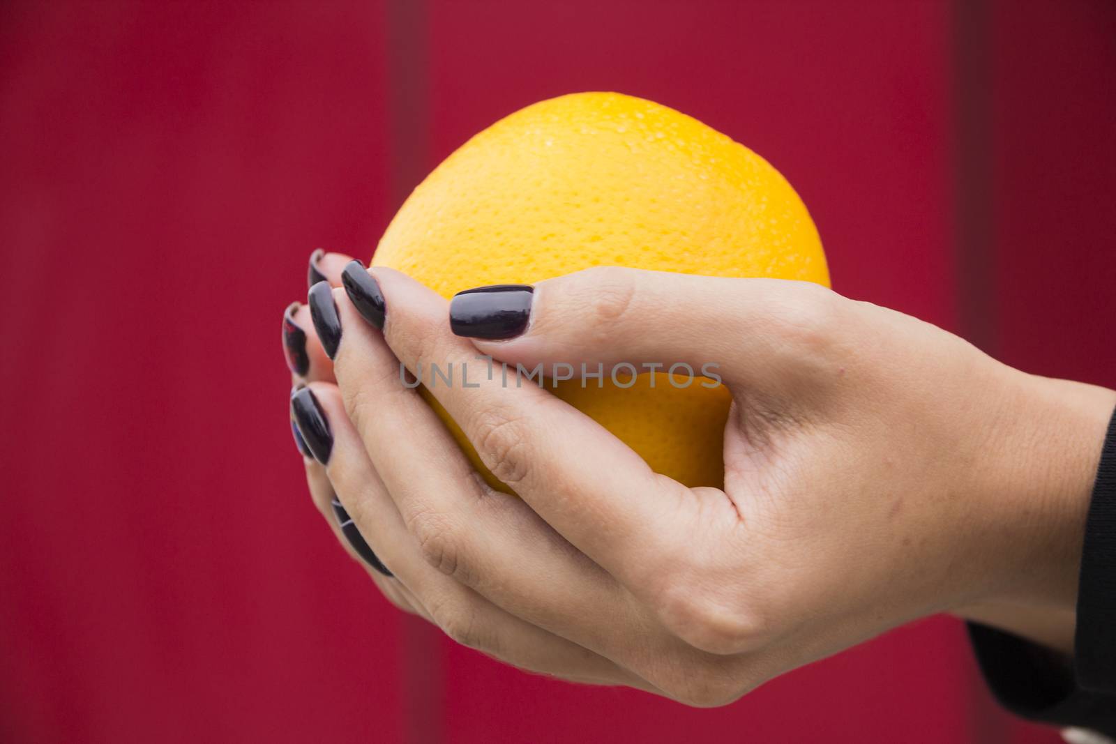 Hands girl with fashionable manicure keep Orange Burgundy background