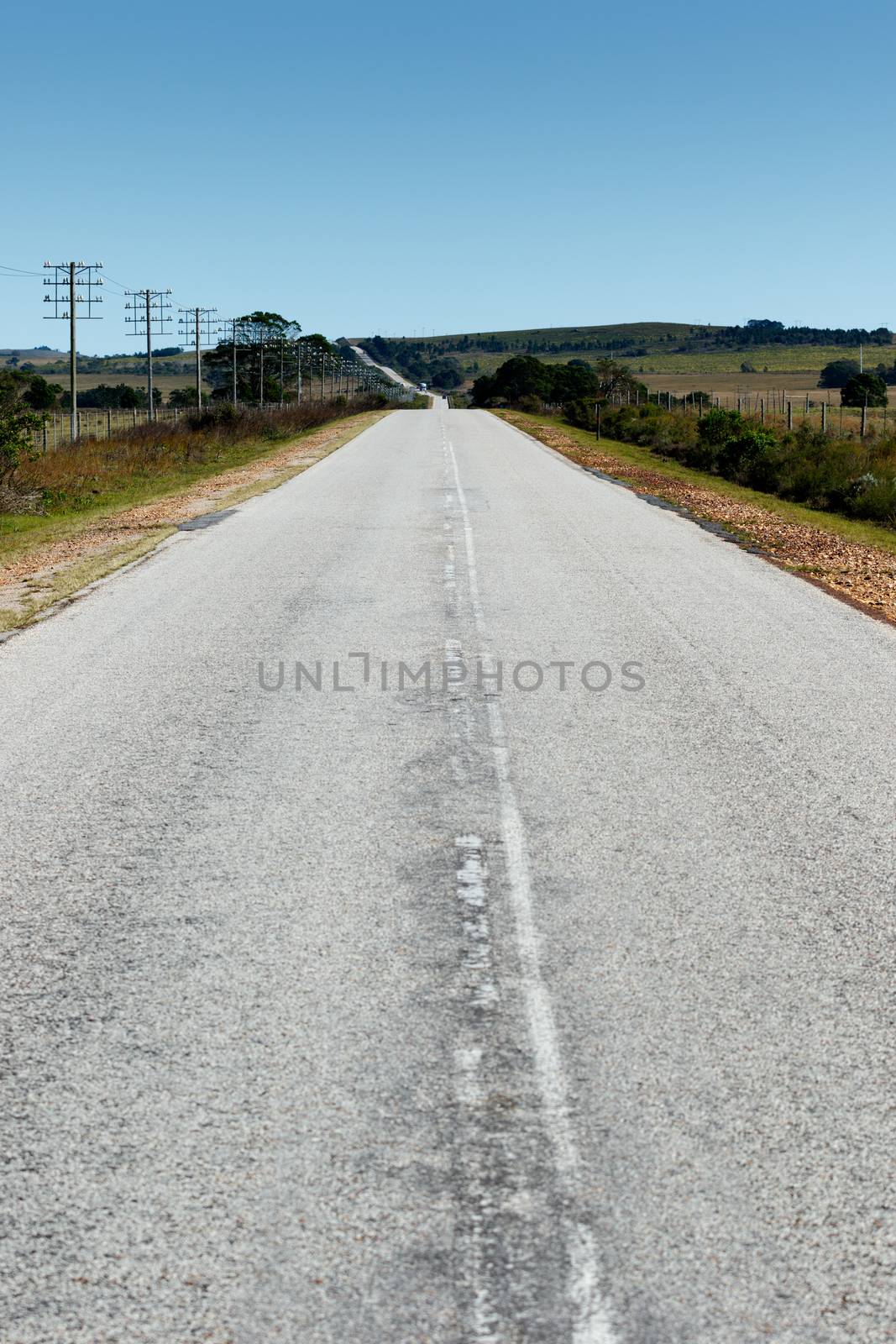 Landscape of South Africa by markdescande