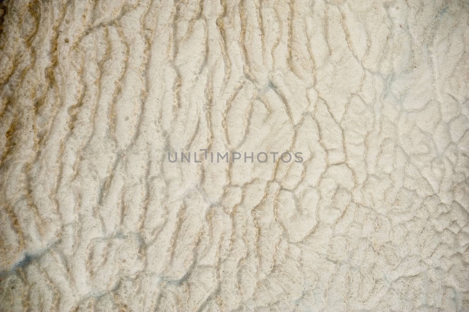 an image of foam background