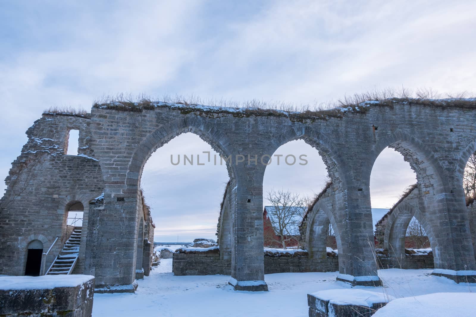 Alvastra Monastery ruins by thomas_males