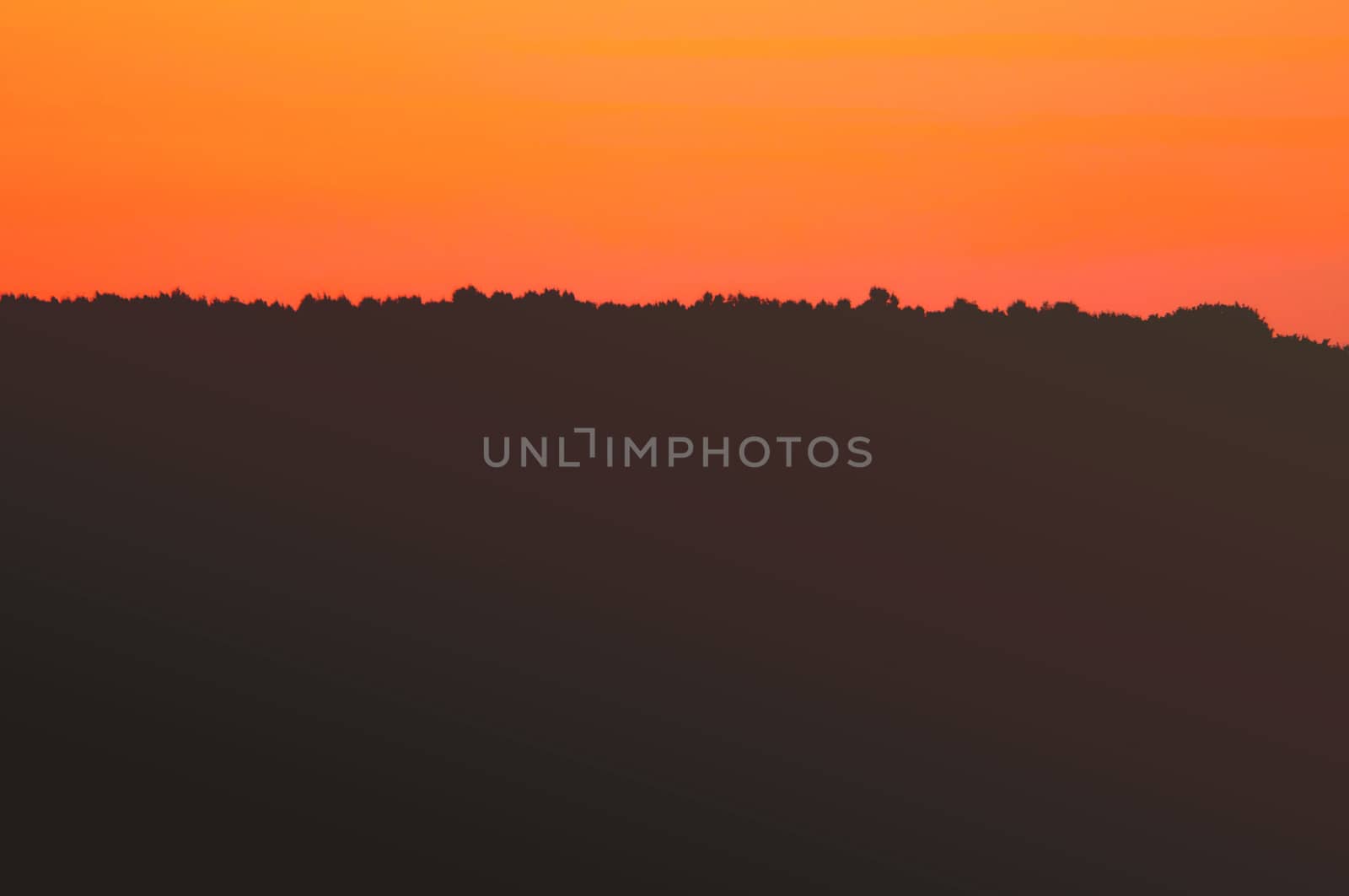 An image of sunset with sun rays
