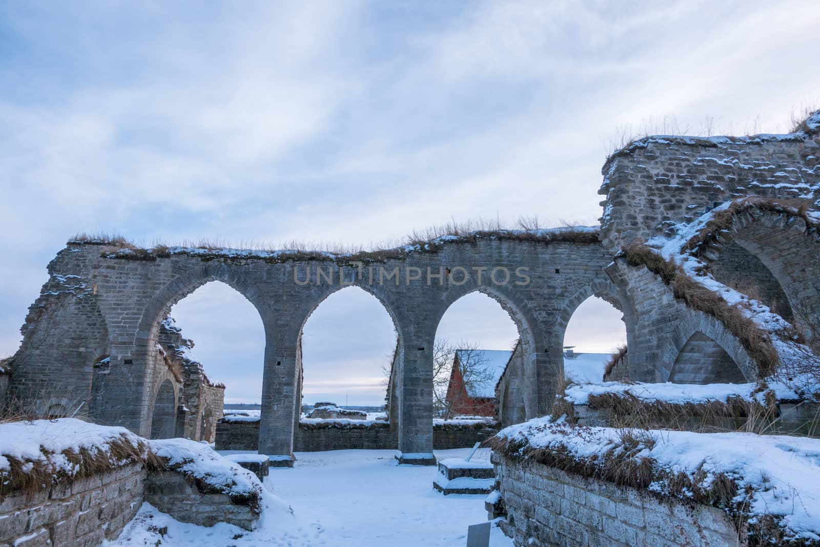 Alvastra Monastery ruins by thomas_males