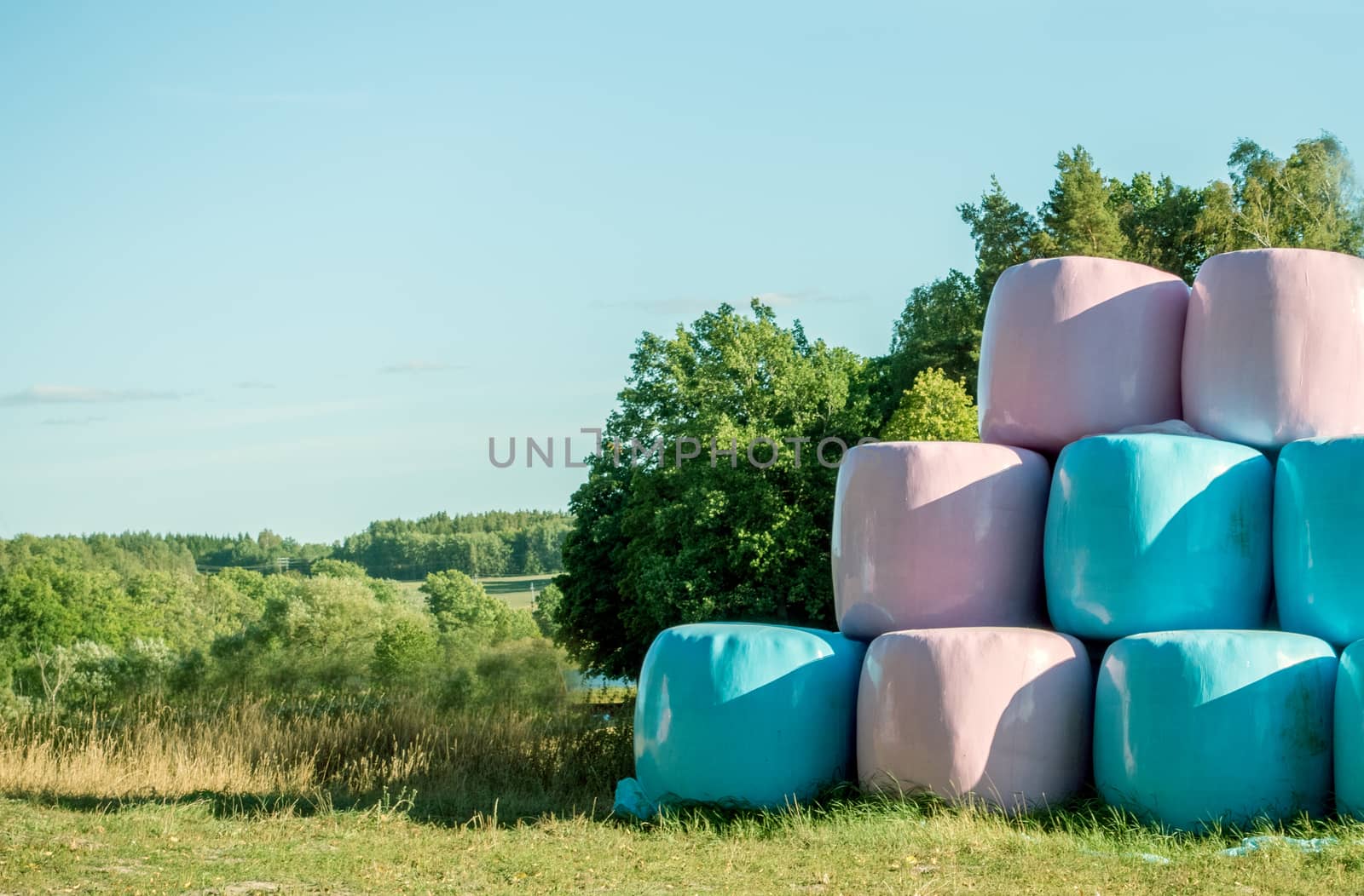 Pink and Blue Large Round Bale Silage