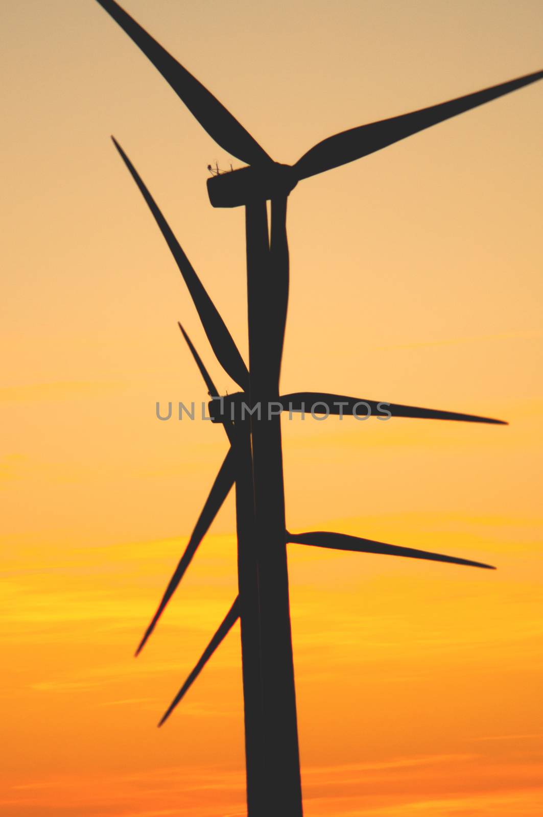 Wind turbine farm with rays of light at sunset