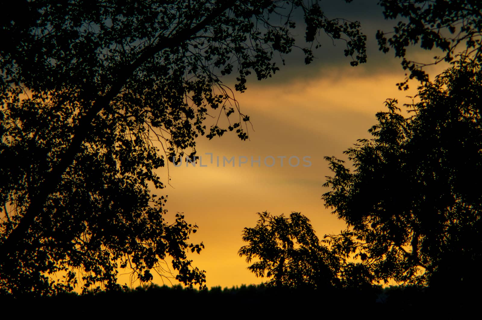 An image of sunset with sun rays