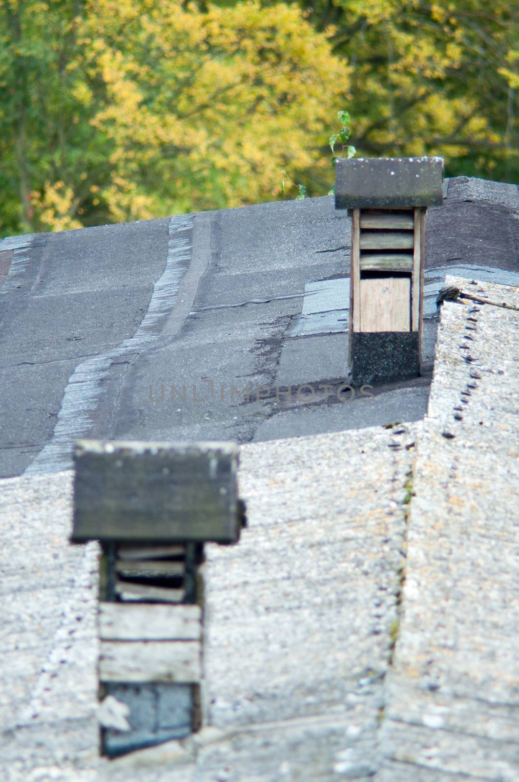 An image of  red roof 