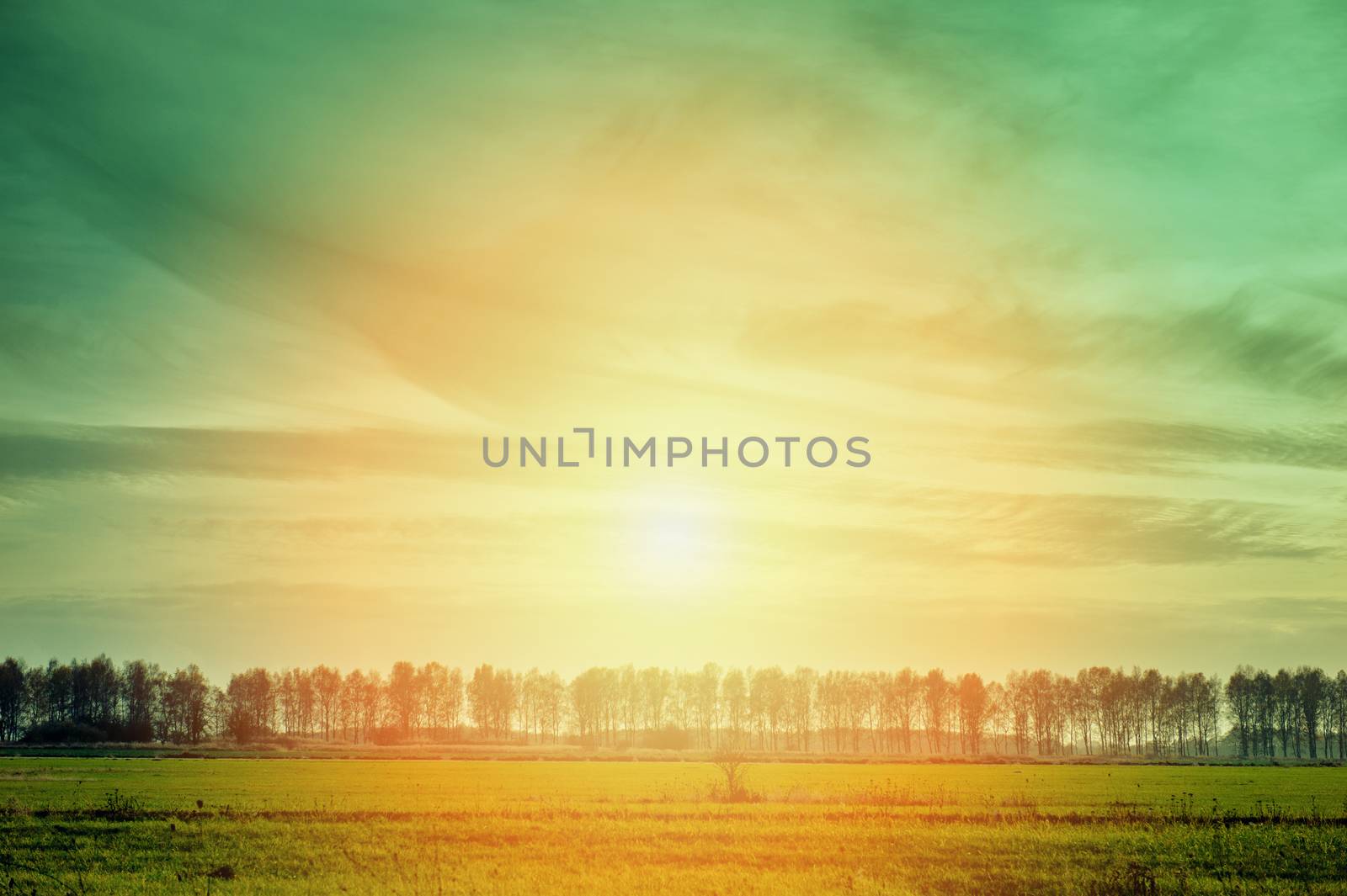 an image of spring landscape