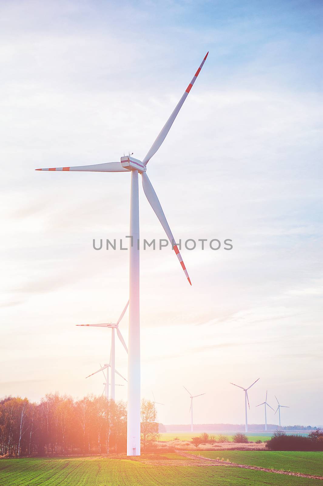 Wind turbine farm with rays of light at sunset