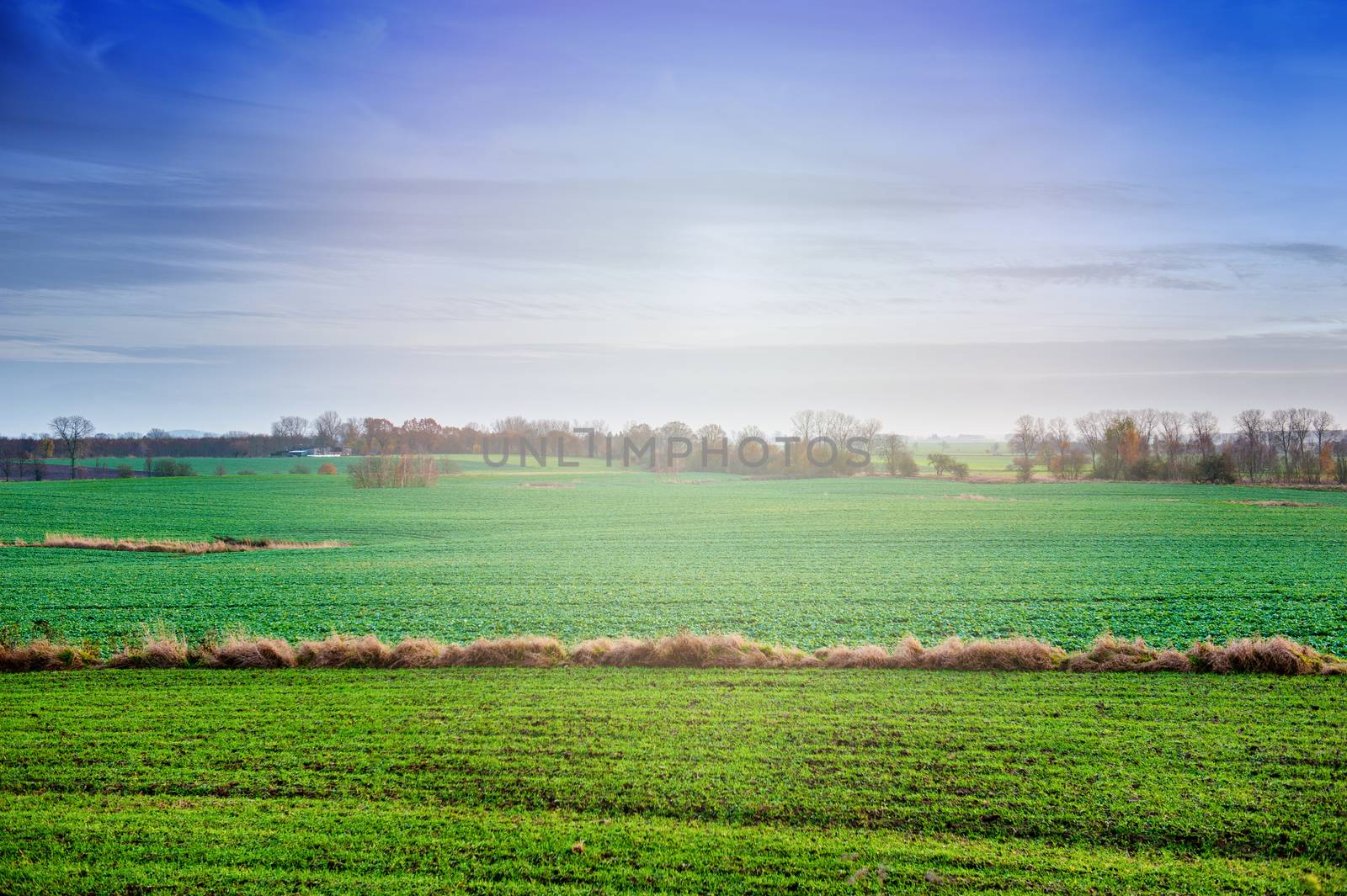 an image of spring landscape