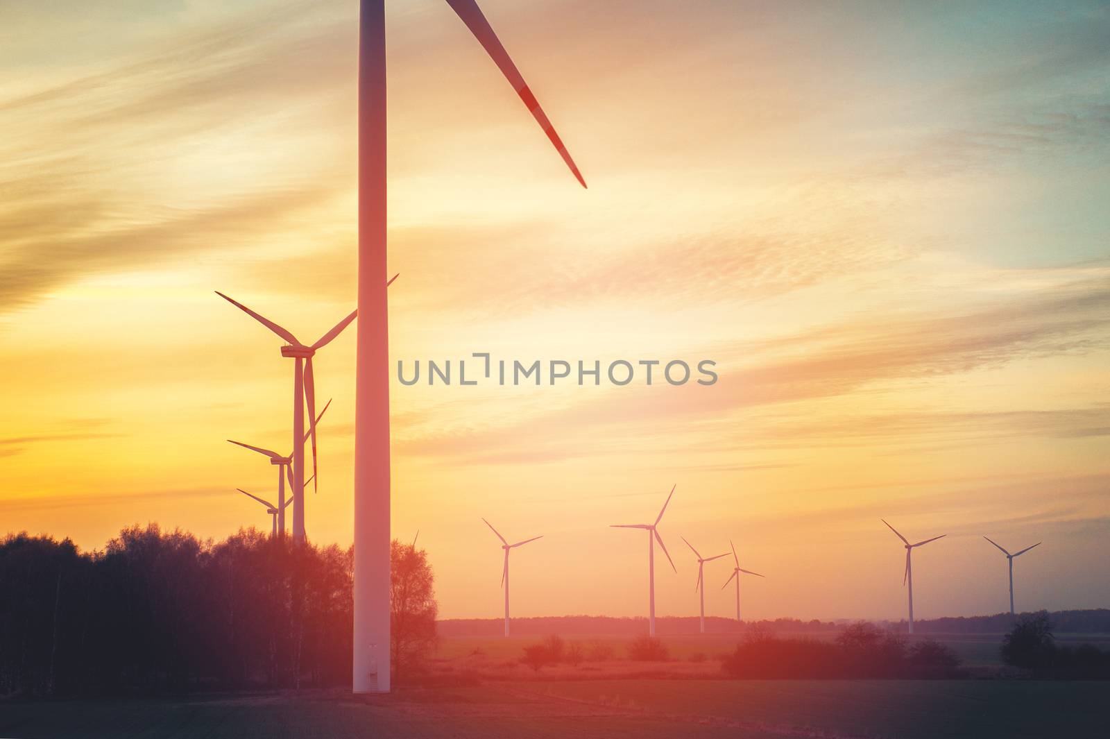 Wind turbine farm with rays of light at sunset