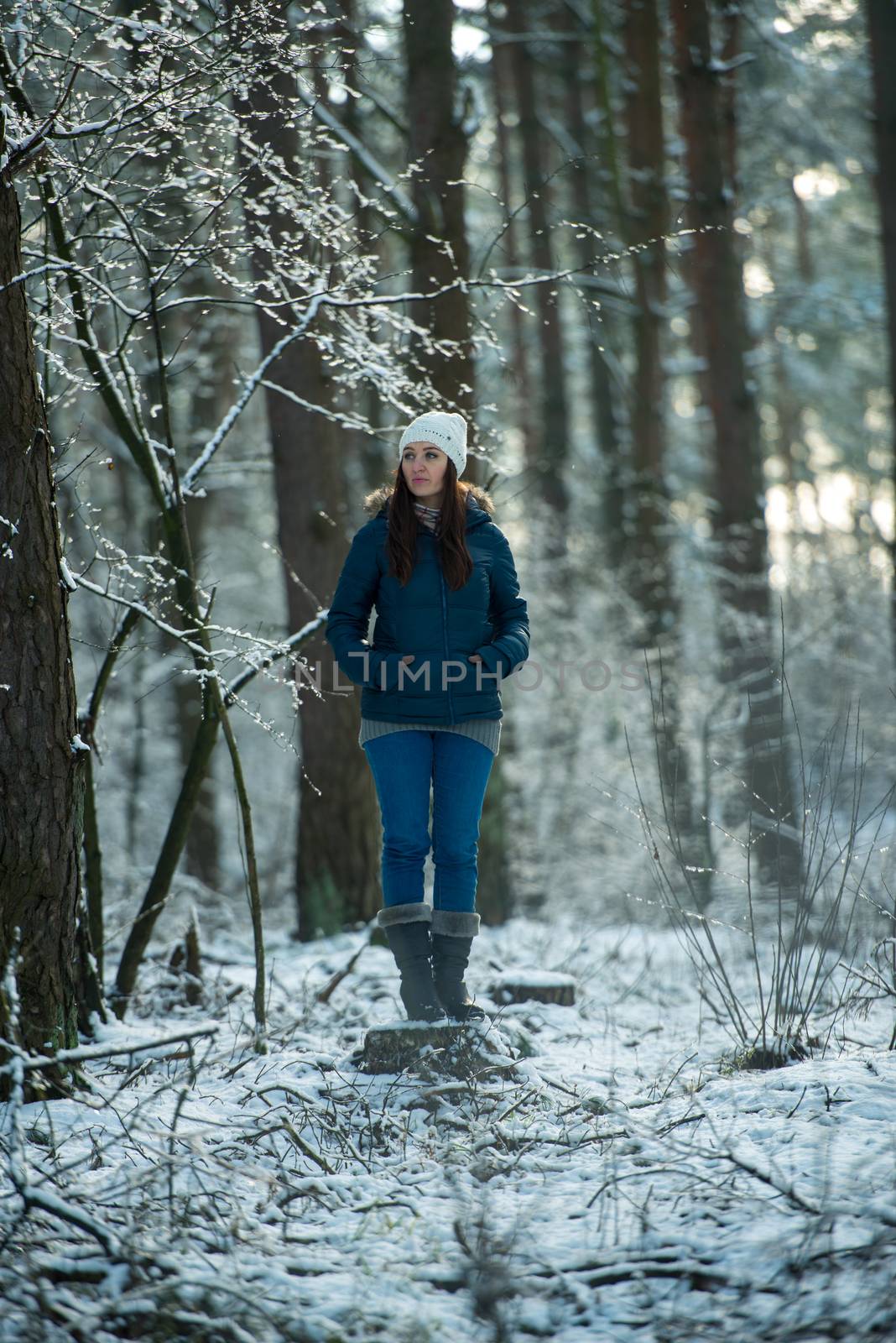 Young woman on a walk in snowy winter by Brejeq