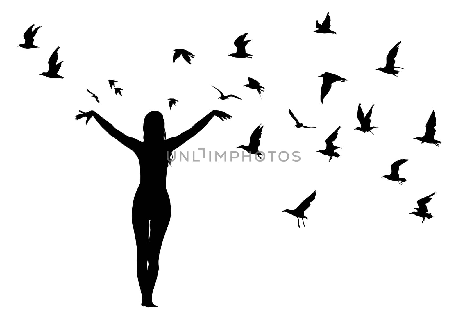 Silhouette of girl and birds; learning to fly abstract concept