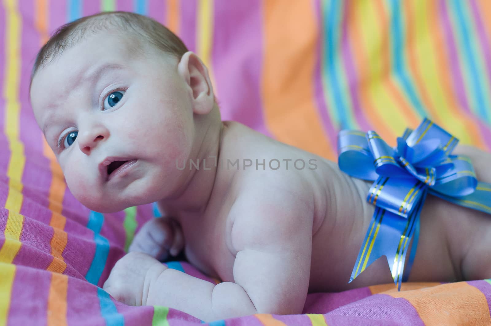 Baby lays with blue gift bow