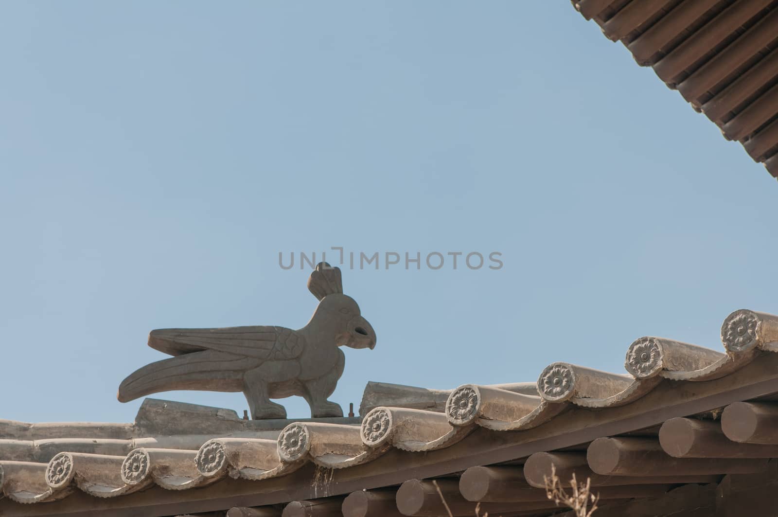 the horizontal view of the mythology bird on the roof