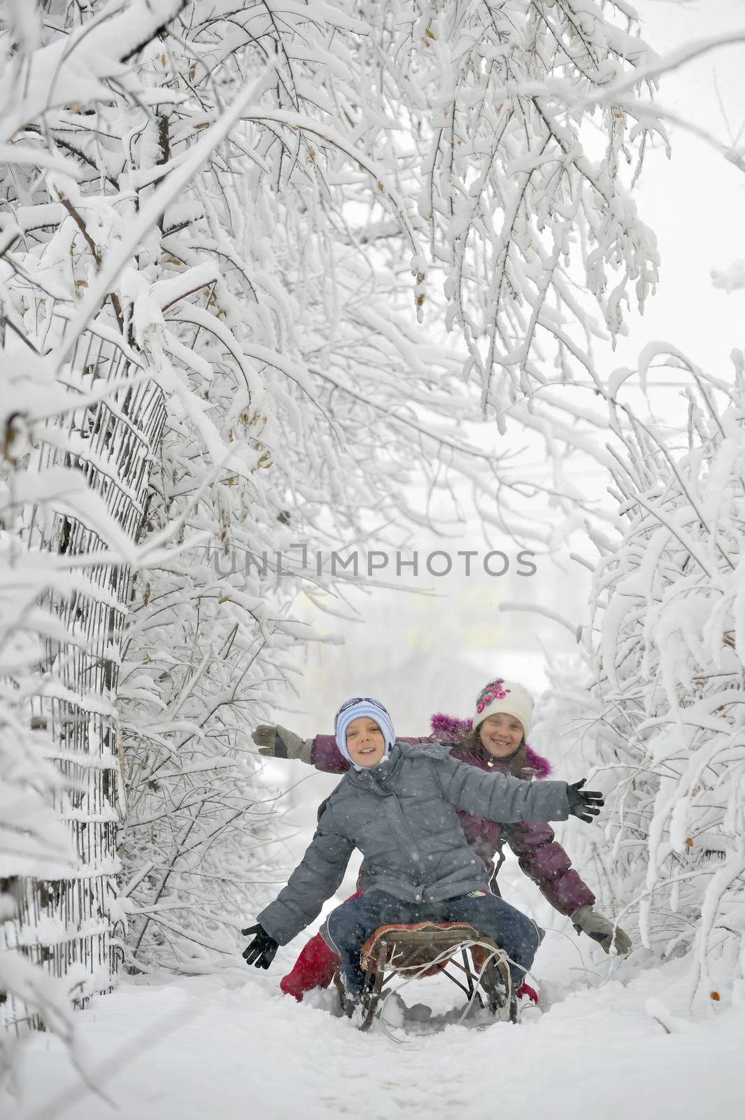 kids sit on sled in winter time