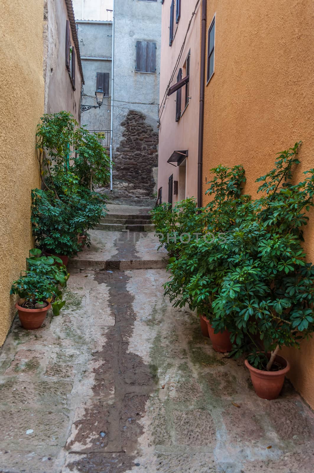 the beautiful alley of castelsardo old city by replica