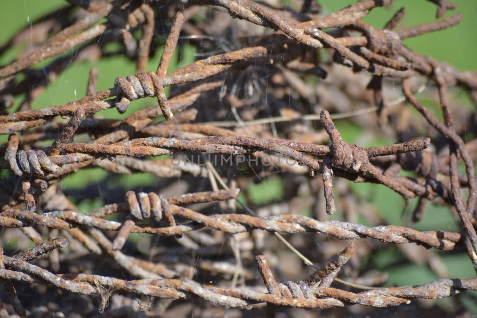 Rusty and old barbed wire fence closeup