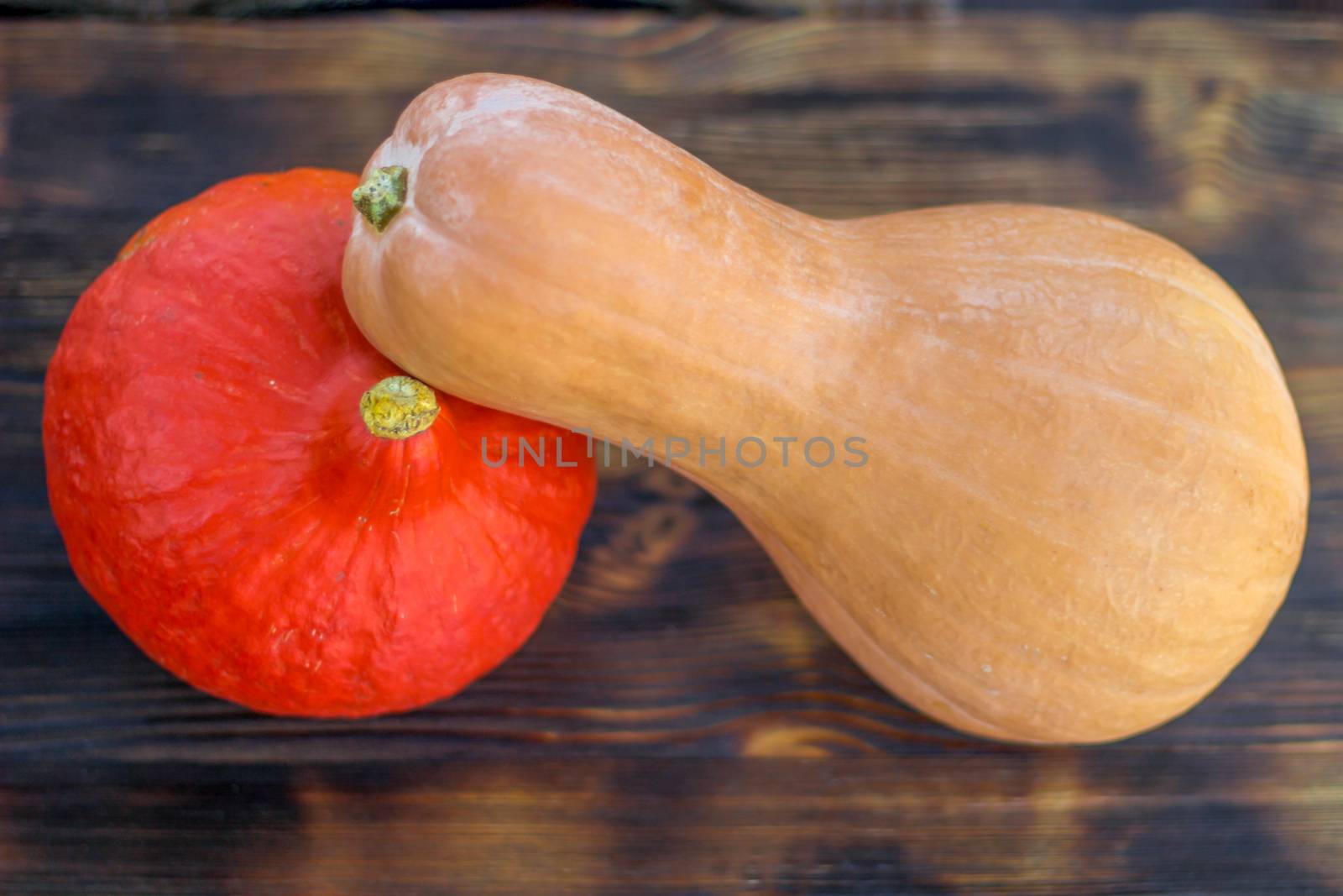 Red pumkin and yellow calabash  with hard rind laying diagonally on dark brown wooden background