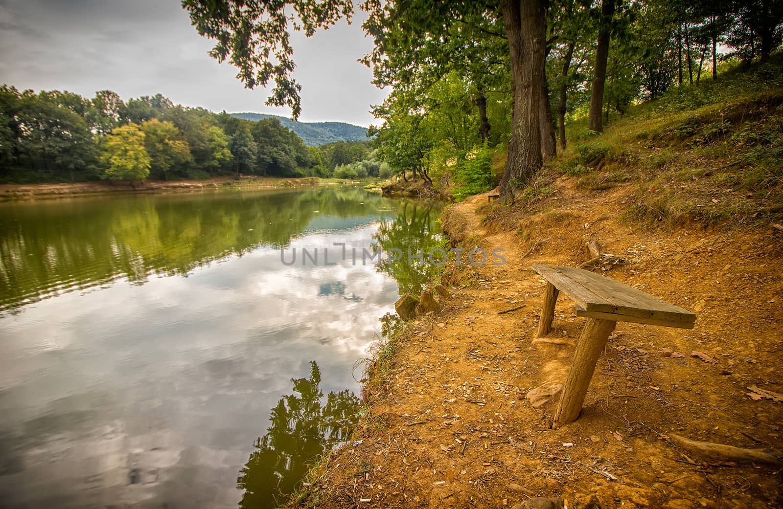 lonely bench on shore of the lake