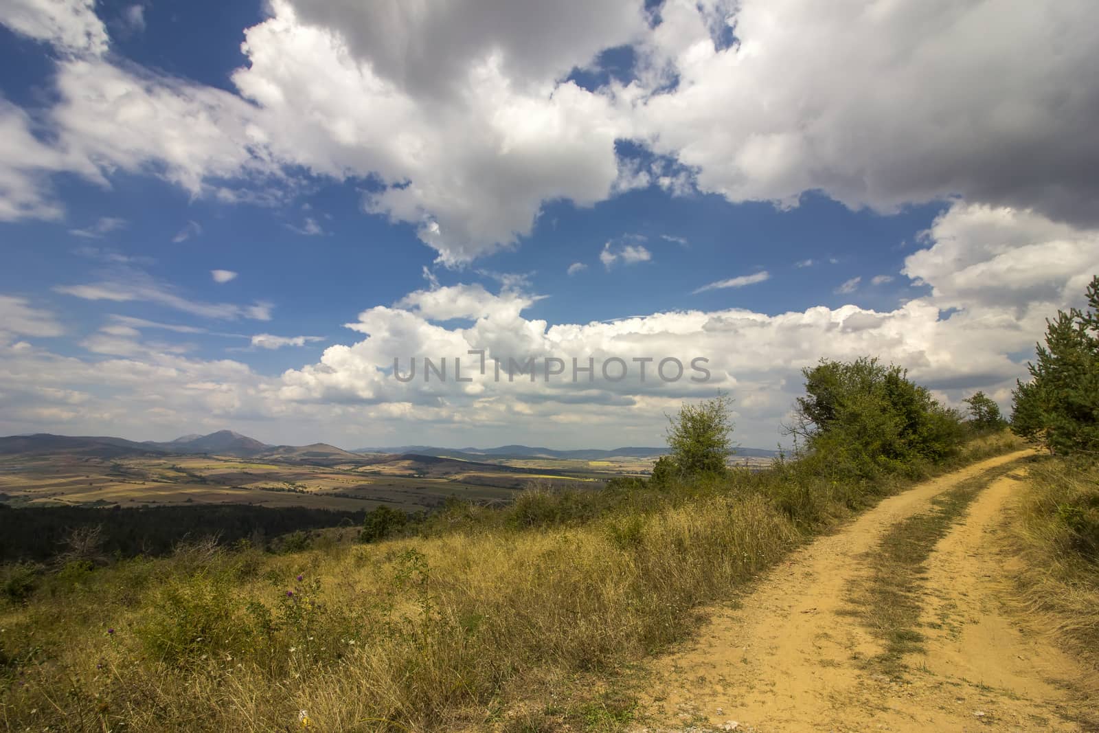 beautiful landscape on a cloudy day with rural road