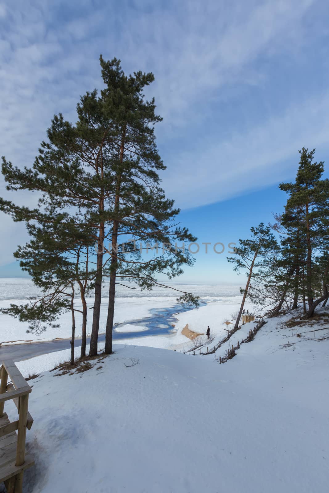 winter snow sea coast Baltic Sea Latvia Saulkrasti