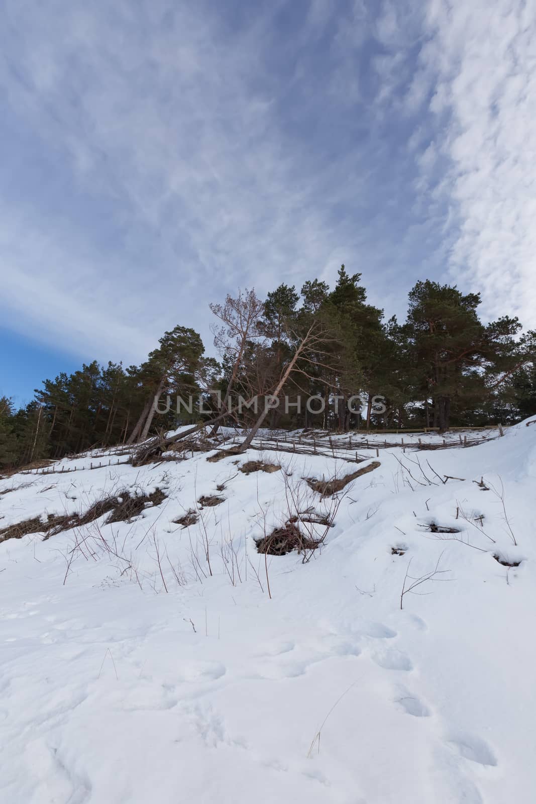 winter snow sea coast Baltic Sea Latvia Saulkrasti