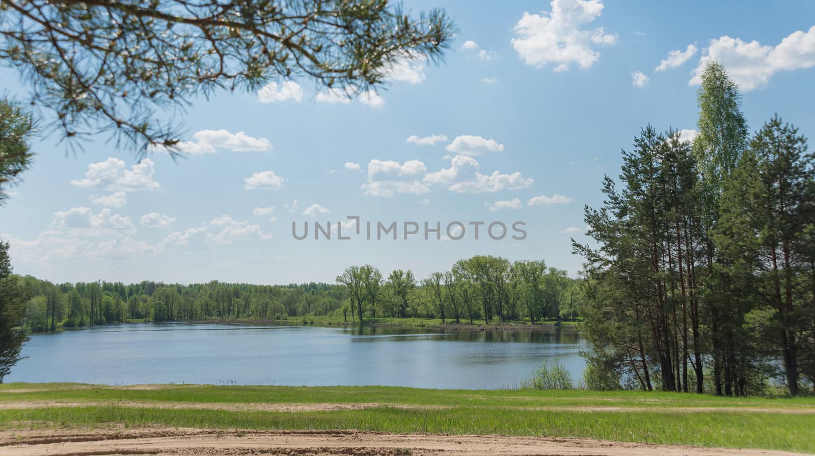 Beautiful landscape with a lake, forest and blue sky with clouds