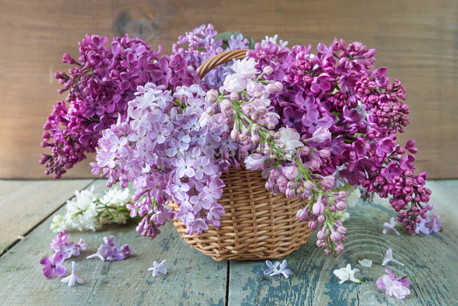 Lush multicolored bouquet of lilac by Epitavi