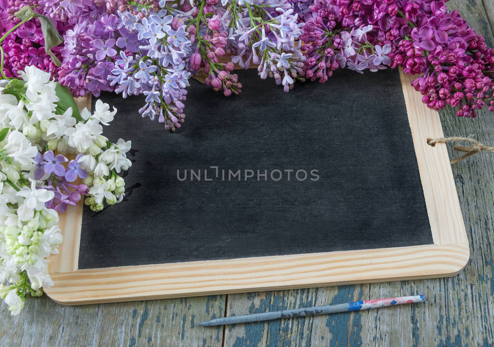 Black chalkboard and multicolored lilac flowers by Epitavi