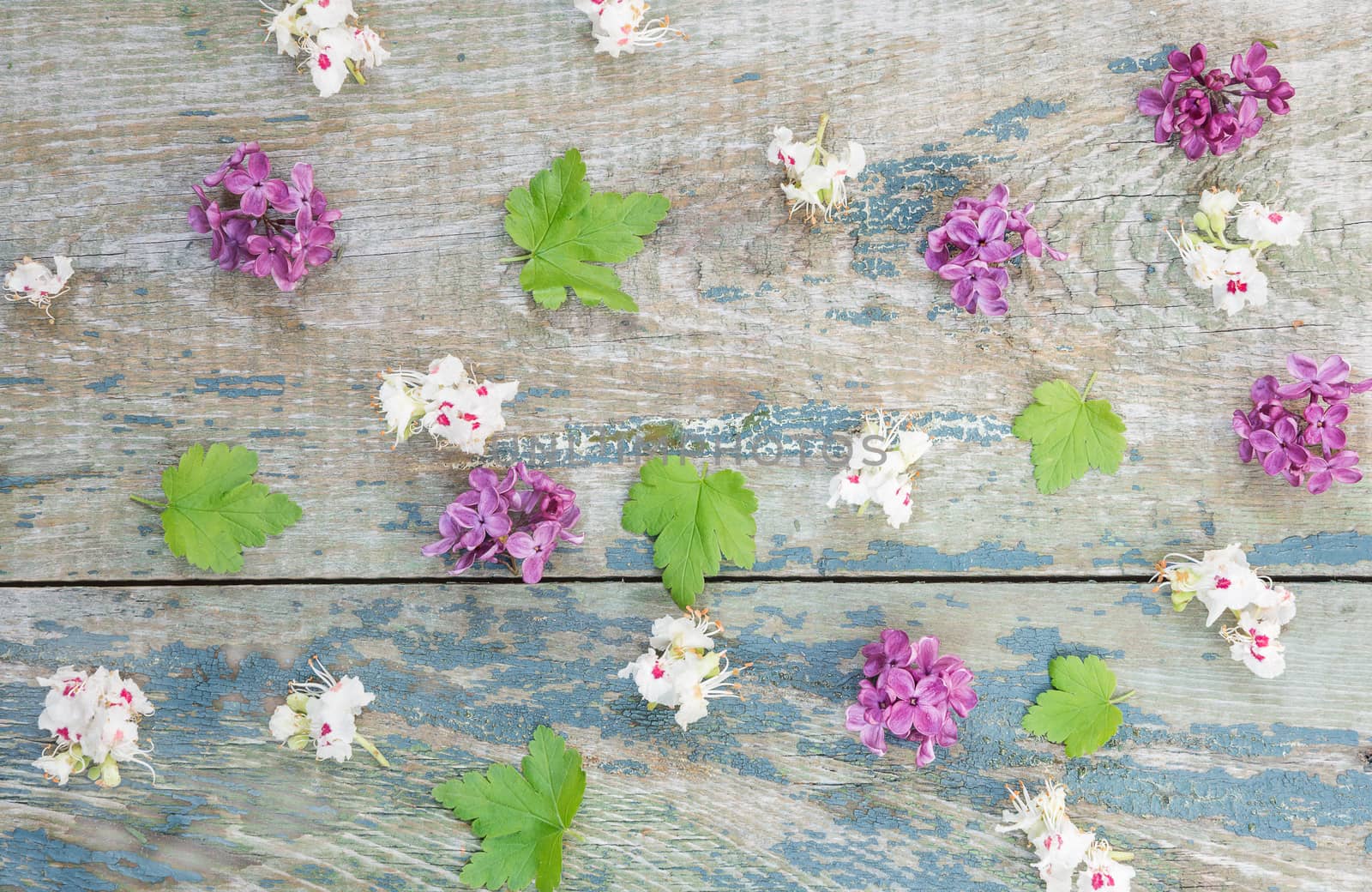 Small red flowers of lilac, white flowers of chestnut and green leaves are spread on the old wooden background; flat lay, top view, overhead view