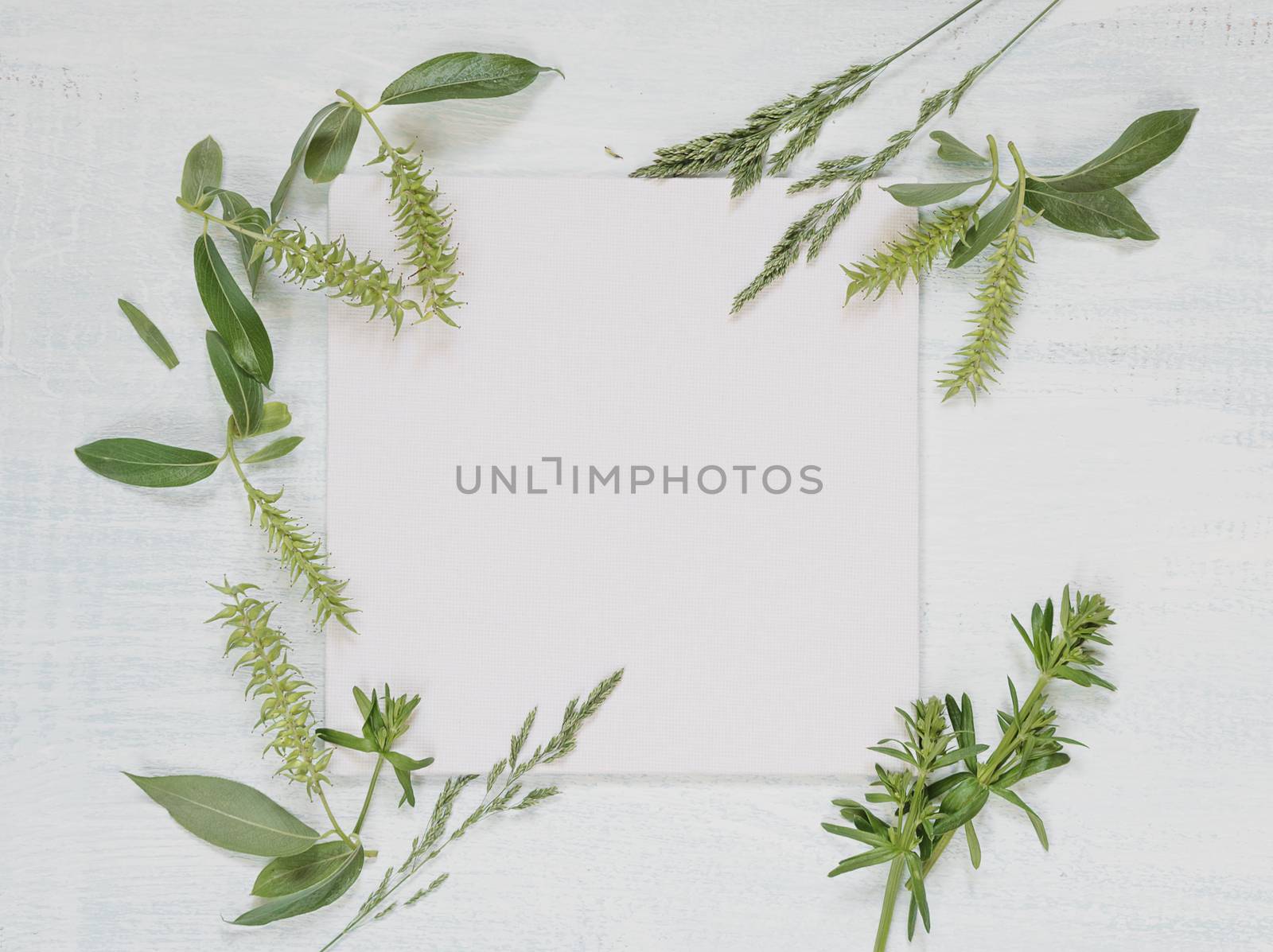 White wedding or family photo album, frame with fresh branches and herbs on light wooden background; top view, flat lay, overhead view