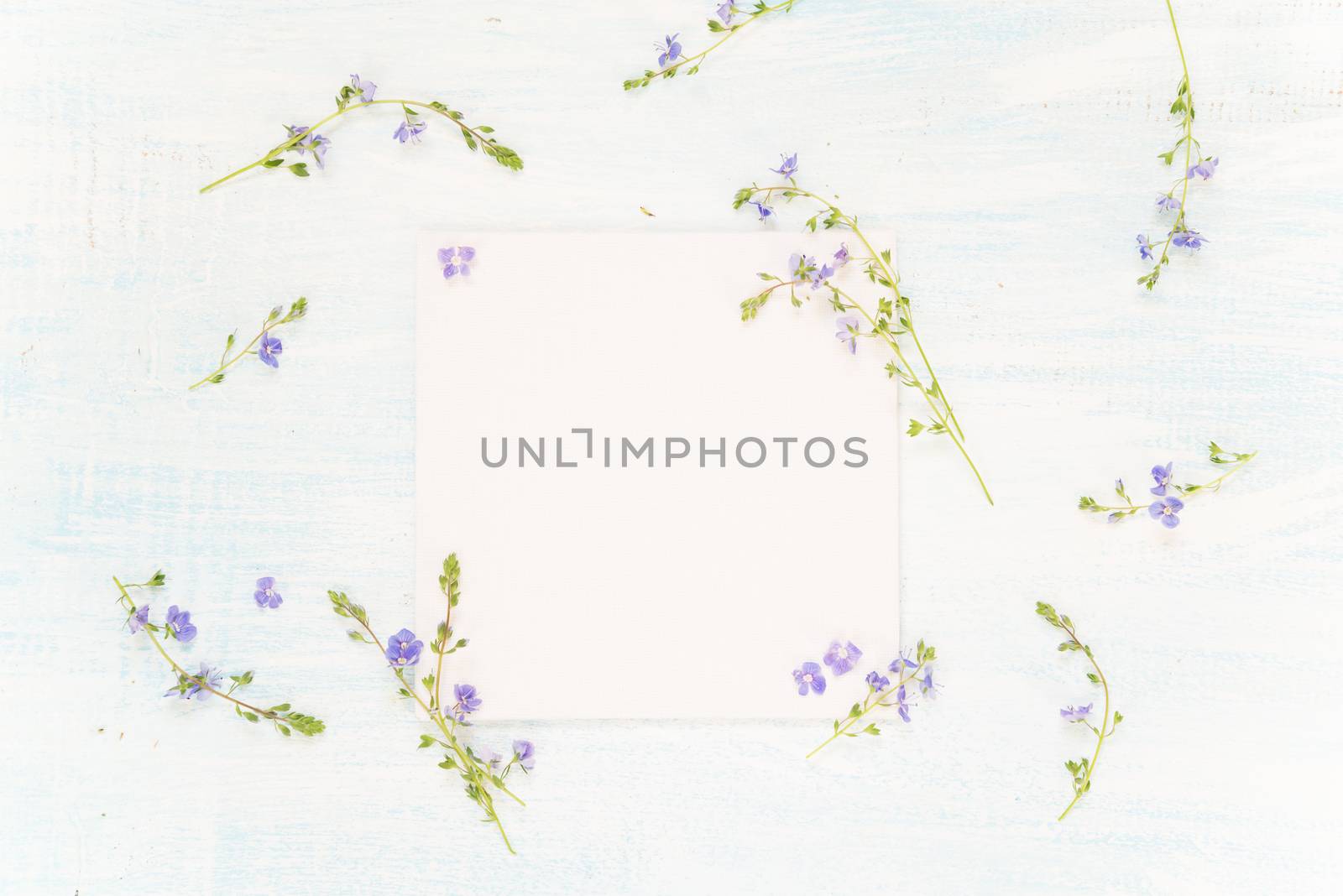 Scrapbooking page with blue flowers by Epitavi