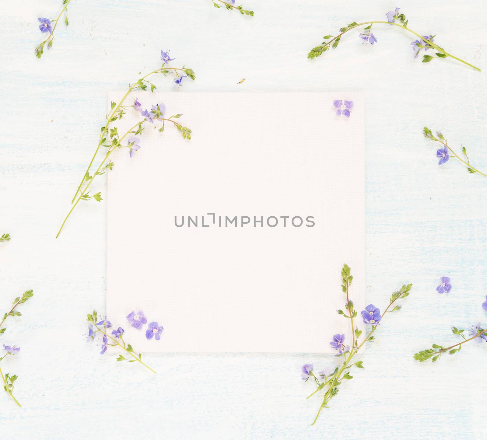 Scrapbooking page of wedding or family photo album, frame with fresh blue flowers on light wooden background; top view, flat lay, overhead view