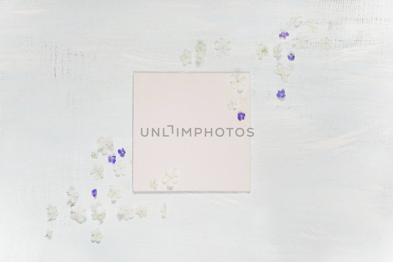 Scrapbook page of wedding or family photo album, frame with fresh blue and white flowers on light wooden background; top view, flat lay, overhead view