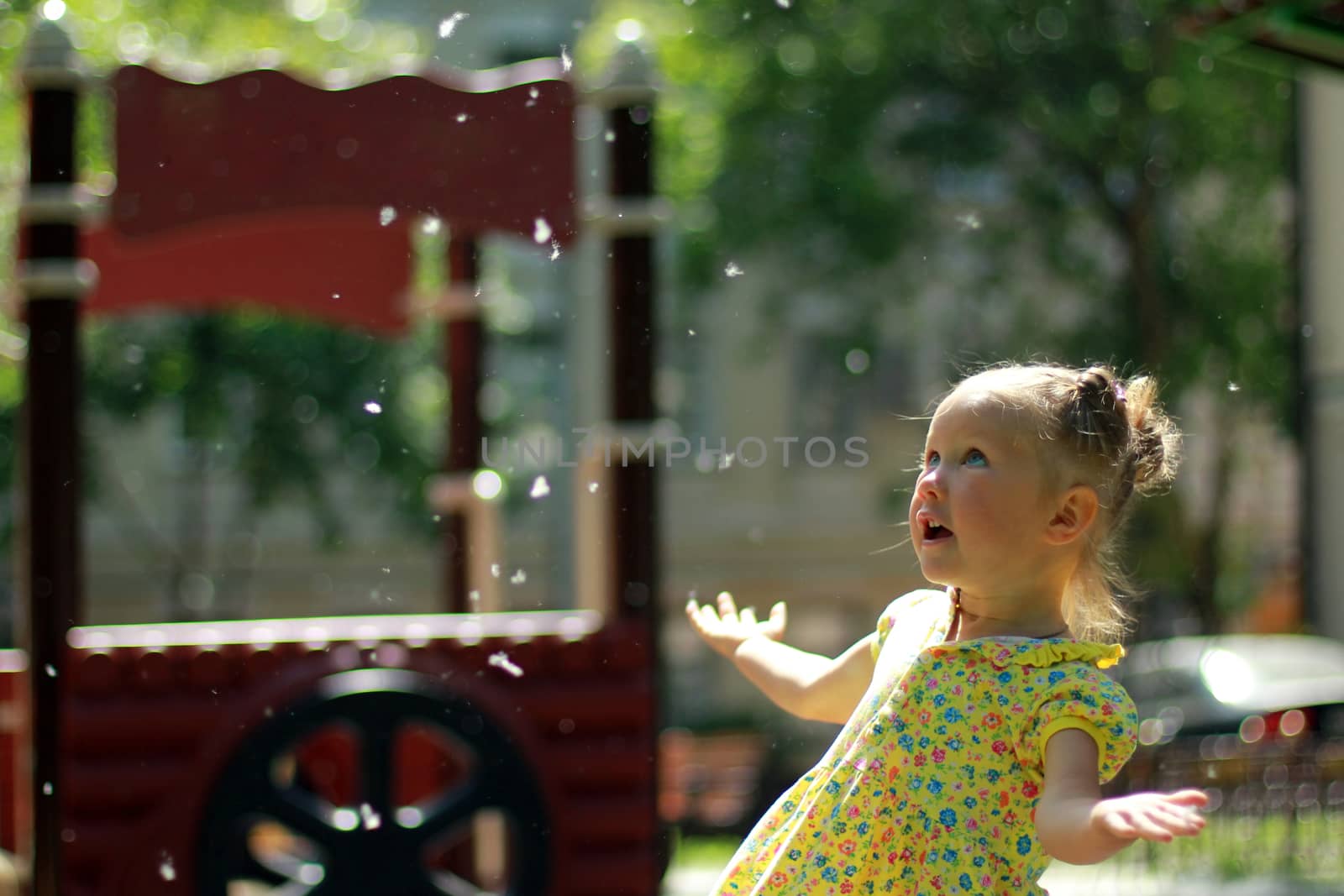Little girl plays with poplar fluff