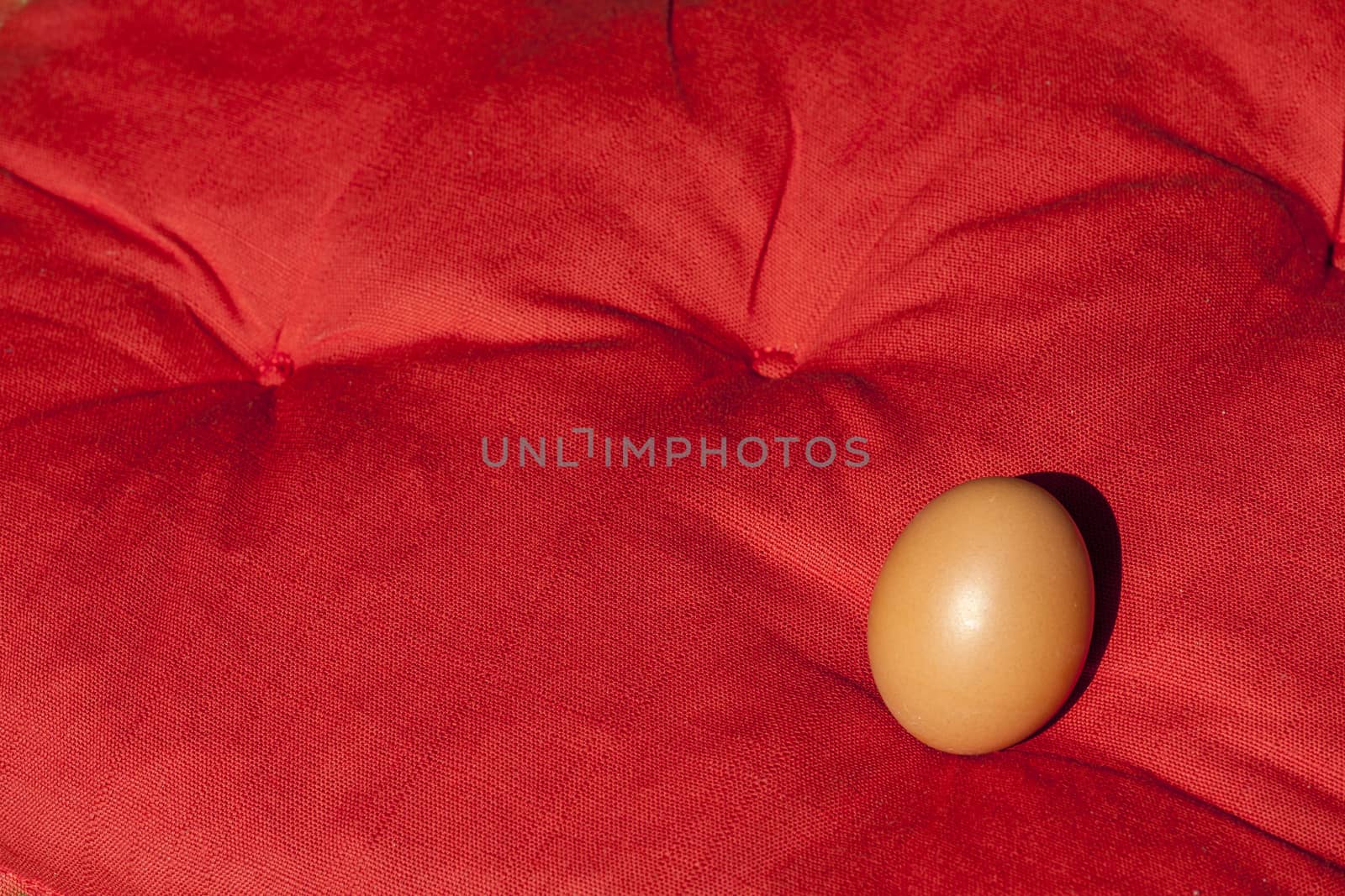 Egg on a red pillow under the sun in summertime