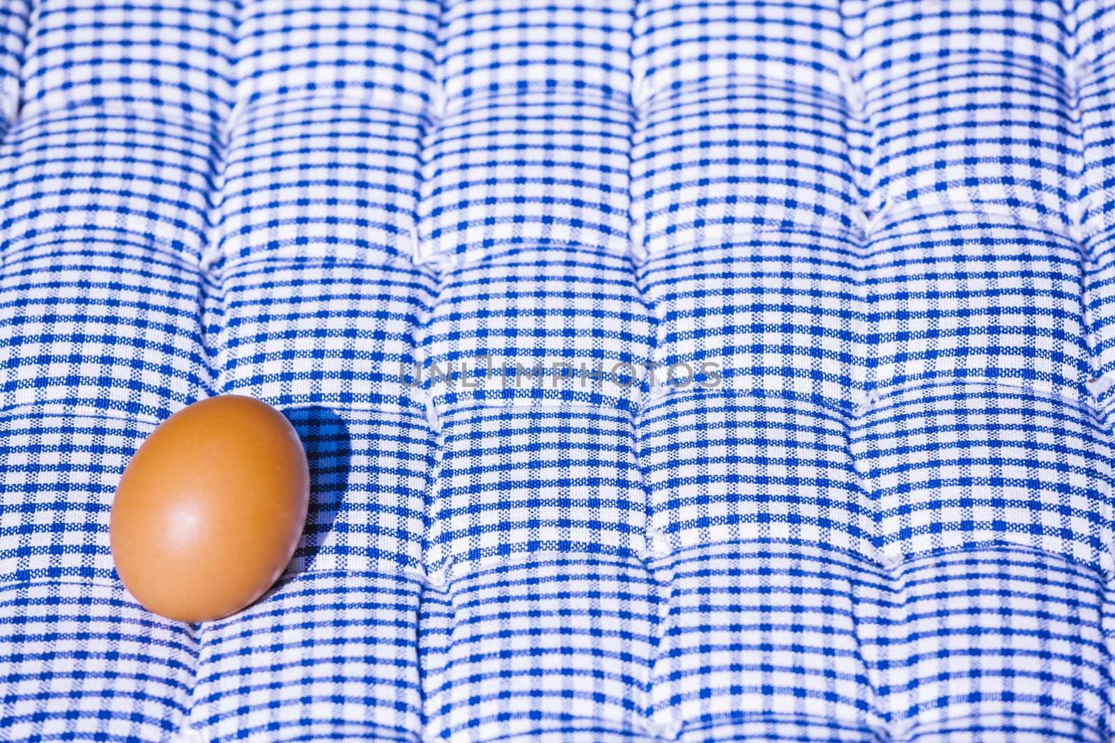 Egg on a blue and white pillow under the sun in summertime