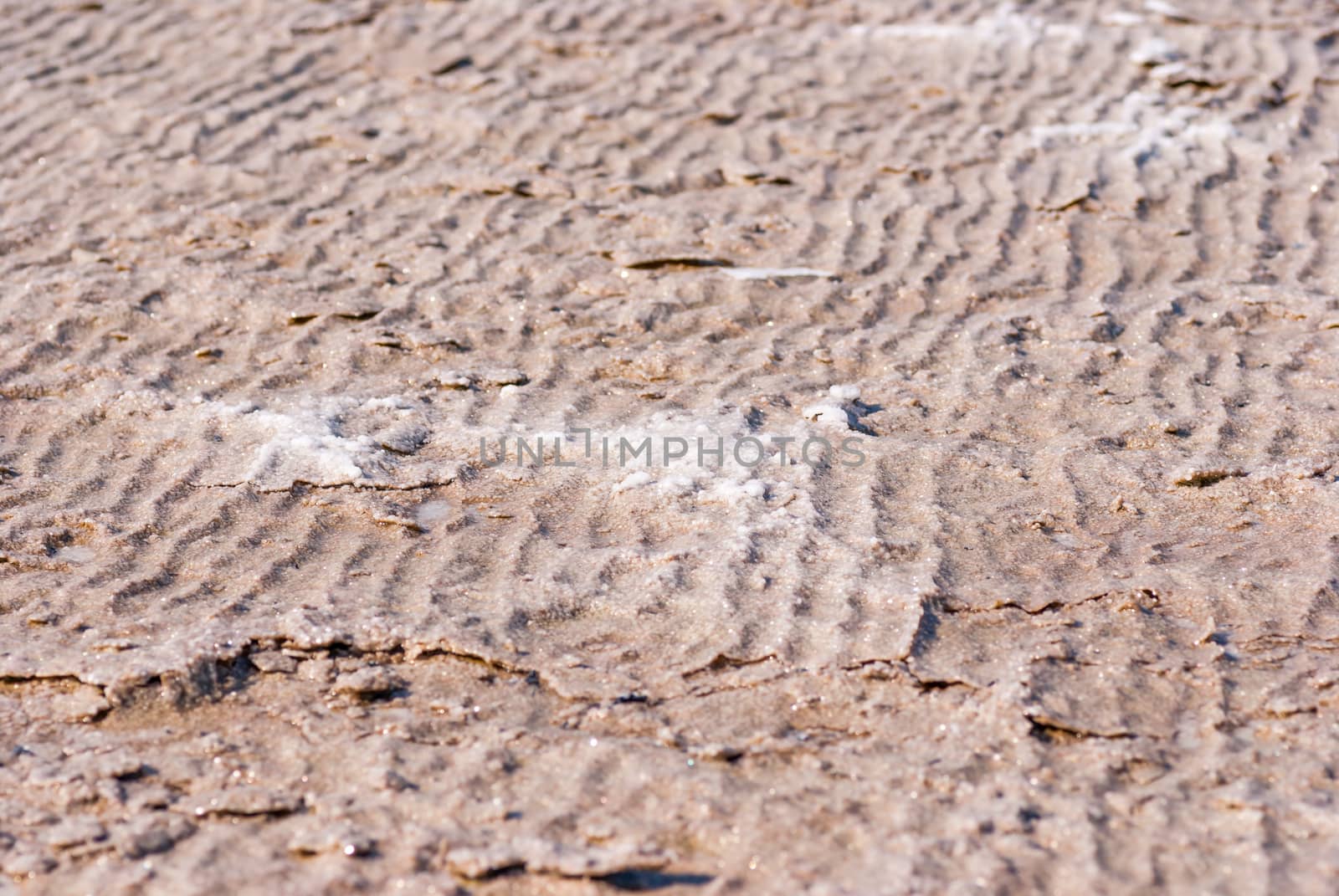 Dry salt lake bottom full of texture.The cracks form a distinctive lightning like pattern.